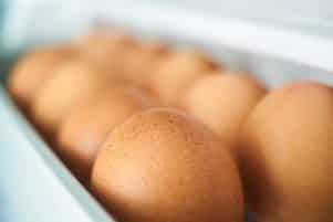 Egg Protein Test