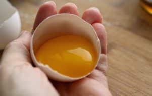  Egg Protein Herstellung