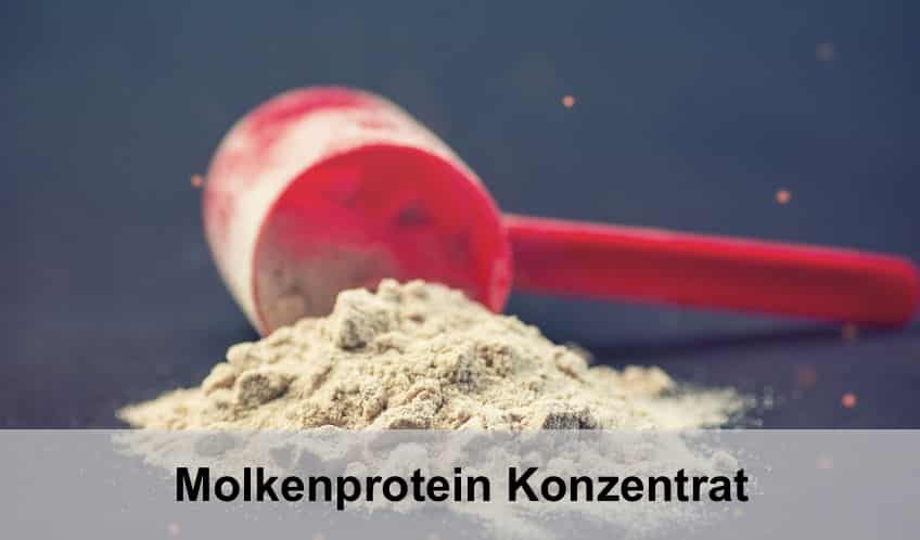 Eine Portion Molkenprotein Konzentrat 