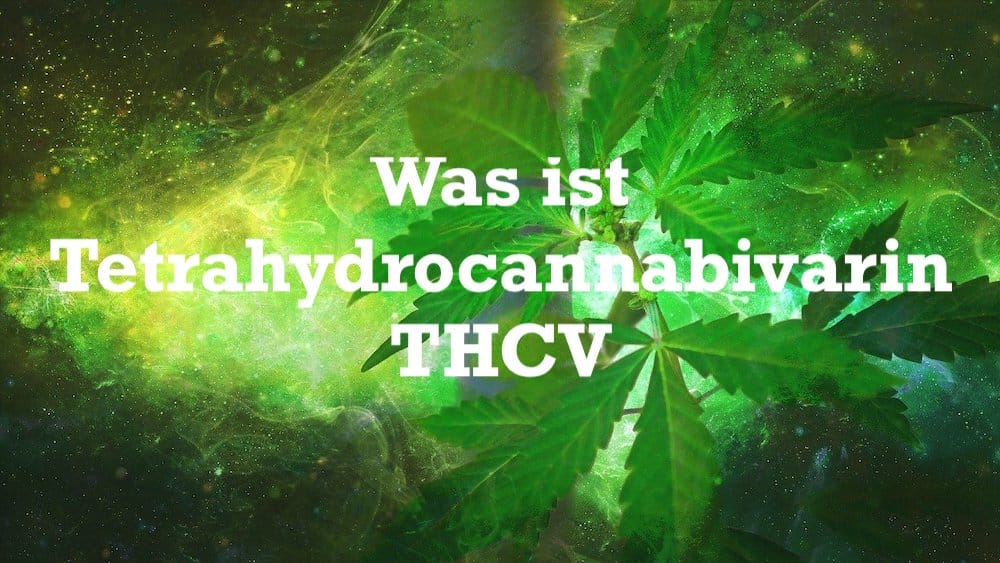 Was ist Tetrahydrocannabivarin THCV