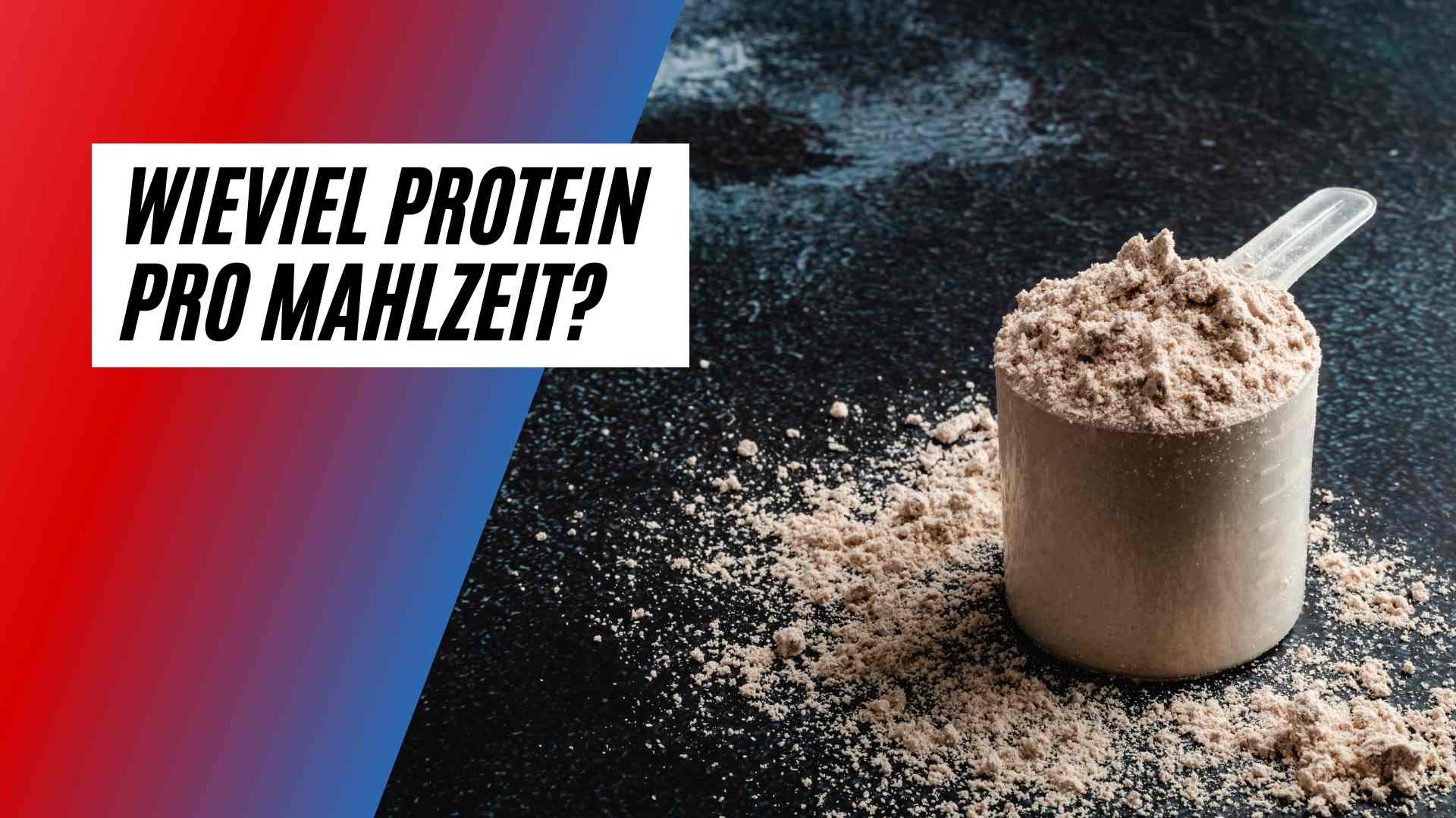 Wieviel Protein kann der Körper pro Mahlzeit aufnehmen?